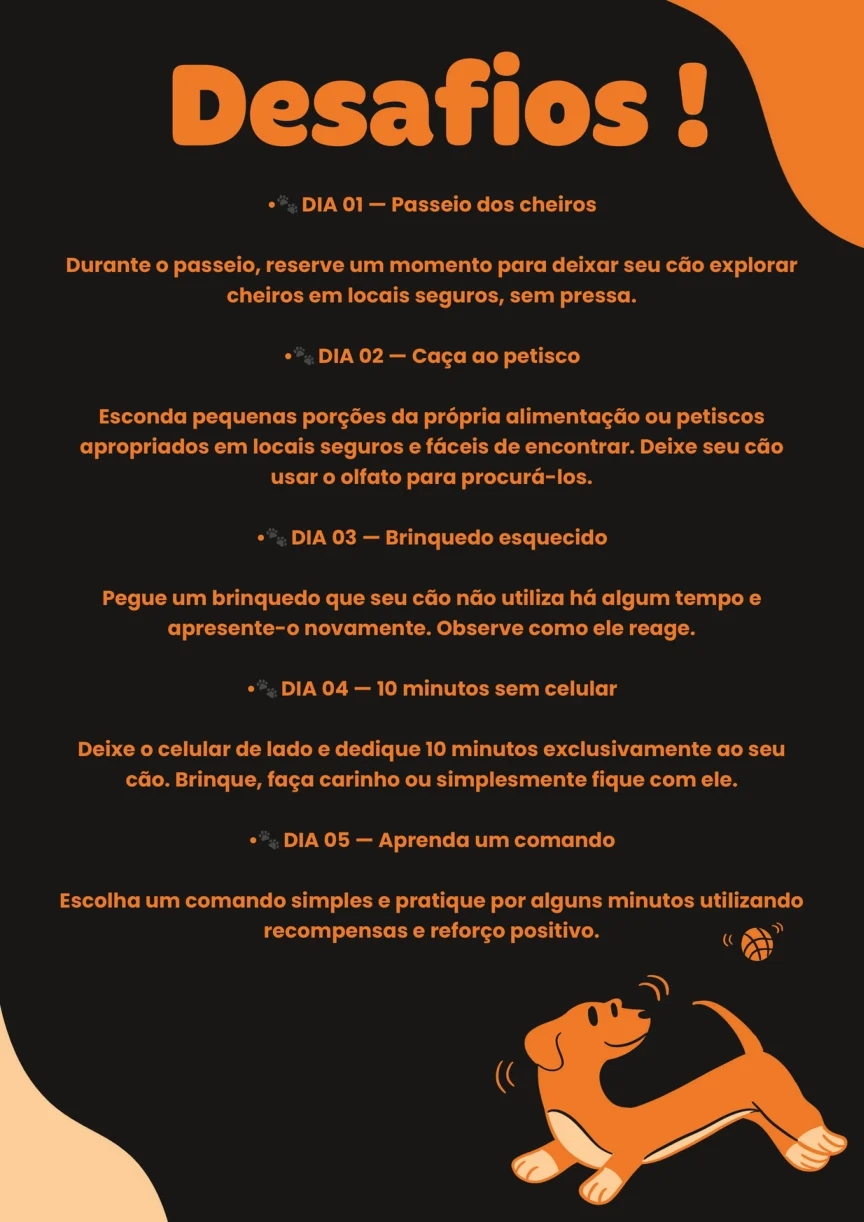 Página original com os desafios 1 a 5 para fazer com seu cão